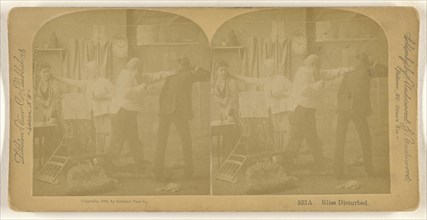 Bliss Disturbed; Franklin G. Weller, American, 1833 - 1877, 1888; Albumen silver print