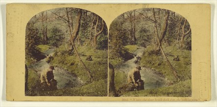 Where the clear brook doth o'er the pebbles play.; London Stereoscopic Company, active 1854 - 1890, about 1860; Hand colored