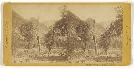 Mount Lyell, Tuolumne Valley; about 1868; Albumen silver print