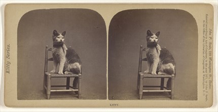 Kitty; John P. Soule, American, 1827 - 1904, 1871; Albumen silver print