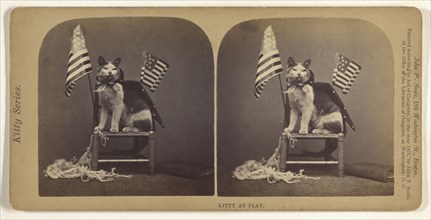 Kitty at Play; John P. Soule, American, 1827 - 1904, 1871; Albumen silver print