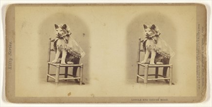 Little Red Riding Hood; John P. Soule, American, 1827 - 1904, 1871; Albumen silver print