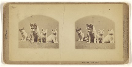 On the Look Out; John P. Soule, American, 1827 - 1904, 1871; Albumen silver print