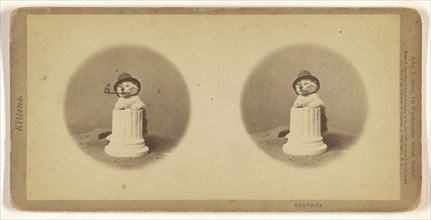 Grand-Pa; John P. Soule, American, 1827 - 1904, 1871; Albumen silver print