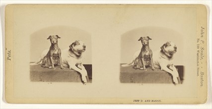 Jeff D. and Fanny; John P. Soule, American, 1827 - 1904, about 1873; Albumen silver print
