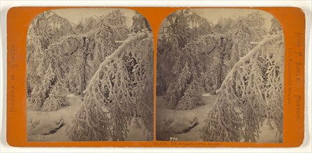 Ice Foliage, Luna Island; John P. Soule, American, 1827 - 1904, about 1865; Albumen silver print