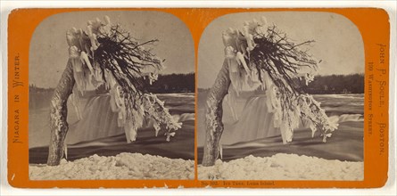 Ice Tree, Luna Island; John P. Soule, American, 1827 - 1904, about 1865; Albumen silver print