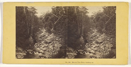 Below The Pool. - looking up; John P. Soule, American, 1827 - 1904, 1861 - 1862; Albumen silver print