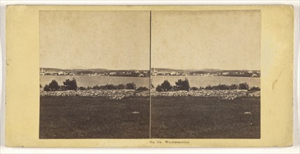 Wolfborough; John P. Soule, American, 1827 - 1904, 1861 - 1862; Albumen silver print