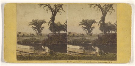 Artists' Brook and Meadows, North Conway, N.H; John P. Soule, American, 1827 - 1904, about 1861; Hand-colored Albumen silver