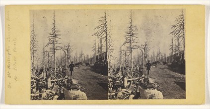On Mt. Washington Carriage Road at Silver Forest; Attributed to John P. Soule, American, 1827 - 1904, about 1861; Albumen