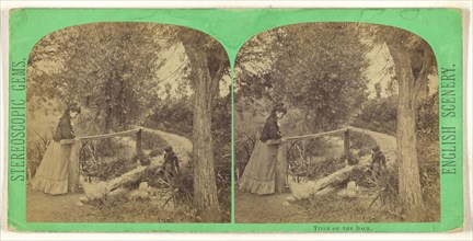 The rustic bridge which spans the stream where cresses grew. British; 1865 - 1875; Albumen silver print