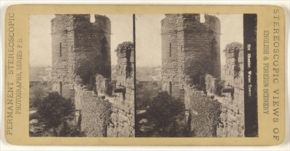 Chester. Water Tower; British; 1880s; Collotype