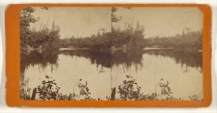 View on the Squatook river, one of the feeders of the upper St. John; George T. Taylor, Canadian, active 1870s, 1870s; Albumen