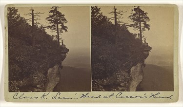 Lion's Head at Caesar's Head, North Carolina; Nat. W. Taylor, American, active 1880s - 1890s, 1870s; Albumen silver print