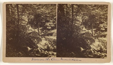 Falls on Roan Mountain, North Carolina; Nat. W. Taylor, American, active 1880s - 1890s, 1870s; Albumen silver print