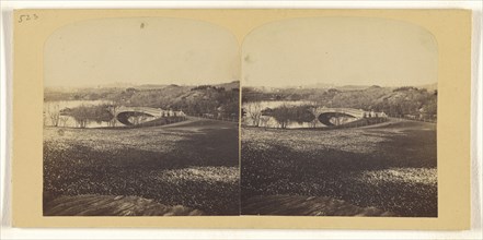 Panorama of The Ramble, Central Park, Snow not yet melted off; Tannin, ?, or Frederick F. Thompson, American, 1836 - 1899, May