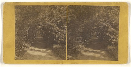 Evergreen Avenue Cemetery, Newburyport, Massachusetts; W.C. Thompson, American, active 1870s - 1880s, 1890s; Albumen silver