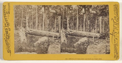 Effects of Union shot and shell on Culp's Hill; William H. Tipton, American, 1850 - 1929, active Gettysburg, Pennsylvania