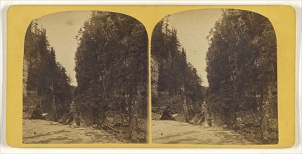 Big Flume - west side - looking down; Horace S. Tousley, American, 1825 - 1895, about 1875; Albumen silver print