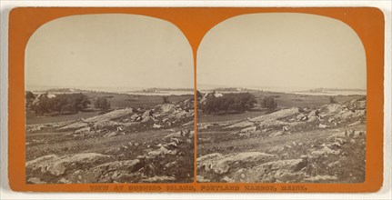 View at Cushing Island, Portland Harbor, Maine; Simon Towle, American, active Lowell, Massachusetts 1855 - 1893, 1870s; Albumen