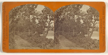 Benson Road near Glenwood, Alexandria, Minnesota; Newton J. Trenham, American, active Alexandria, Minnesota 1860s, about 1868