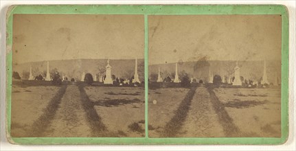 From Elm Avenue - looking South. Indian Mound Cemetery. Moravia, N.Y; T.T. Tuthill, American, active Moravia, New York 1870s