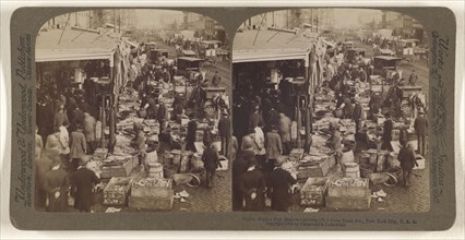 Fulton Fish Market Dealers - looking, N., along South Str., New York City, U.S.A; Underwood & Underwood, American, 1881 - 1940s