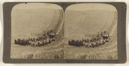 Evolution of the sickle and flail - 33 horse harvester at Walla Walla, Washington; Underwood & Underwood, American, 1881 - 1940s