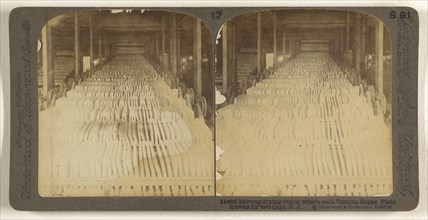 Moving drying ovens, where each Domino Sugar Plate travels for two days, N.J; Underwood & Underwood, American, 1881 - 1940s