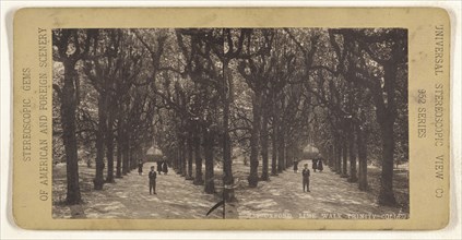 Oxford. Lime Walk, Trinity College; Universal Stereoscopic View Company; about 1880; Collotype