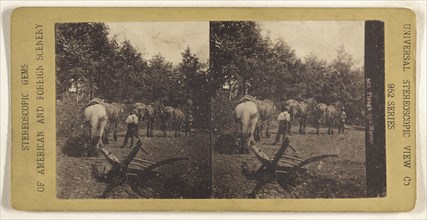 Plough and Horses; Universal Stereoscopic View Company; about 1880; Collotype
