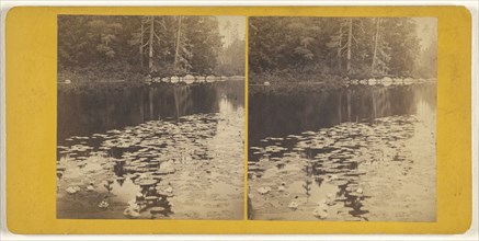 Views About  No.4,   B  Still Life, on Beaver River; Elisha M. Van Aken, American, 1828 - 1904, 1870s; Albumen silver print