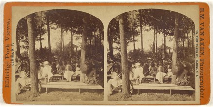 Chapel Grove Eldridge Park, Elmira, N.Y; Elisha M. Van Aken, American, 1828 - 1904, 1870s; Albumen silver print