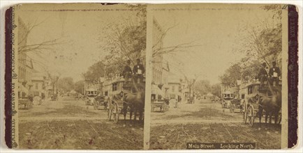 Main Street. Looking North. Albany, New York; Aaron Veeder, American, active Albany, New York 1870s - 1880s, 1875 - 1885