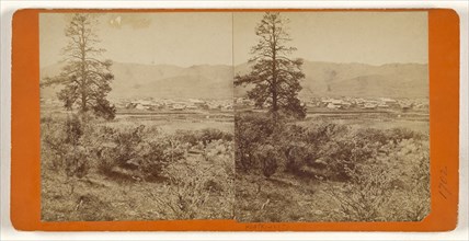 View of San Rafael, California; American; about 1867; Albumen silver print