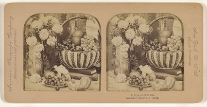 A Study in Still Life; R.Y. Young, American, active New York, New York and Cuba 1890s - 1900s, 1902; Hand-colored Albumen