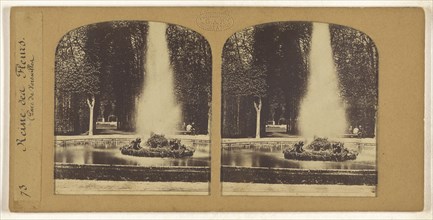 Reine des Fleurs., Parc de Versailles, F. Grau, G.A.F., French, active 1850s - 1860s, 1855 - 1865; Hand-colored Albumen silver