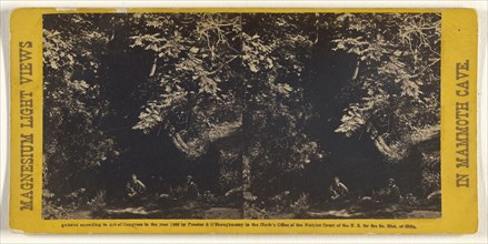 Mouth of the Cave; Charles Waldack, American, 1828 - after 1904, 1866; Albumen silver print