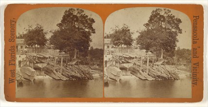 River view, Pensacola, Florida; John A. Walker, American, active 1880s - 1910s, 1880 - 1890; Albumen silver print