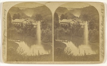 Glen Iris and Fountain - Portage, N.Y; L. E. Walker, American, 1826 - 1916, active Warsaw, New York, about 1870; Albumen silver