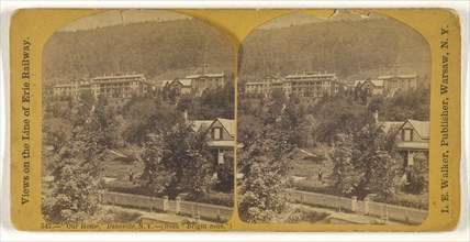 Our Home,  Dansville, N.Y. -, from  Bright Side. , L. E. Walker, American, 1826 - 1916, active Warsaw, New York, about 1870