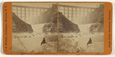 Portage R.R. Bridge and first fall of Genesee, from River bed, L. E. Walker, American, 1826 - 1916, active Warsaw, New York