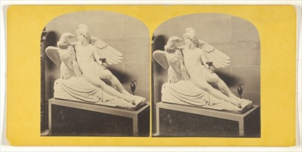 Ganymede. - Tadolini; J.A. Warwick, British, active 1850s - 1860s, 1857 - 1860; Albumen silver print
