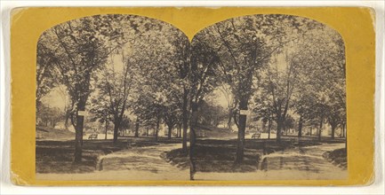 View in the Presidents Ground, Washington, D.C; Hanson E. Weaver, American, active 1860s - 1870s, about 1865; Albumen silver