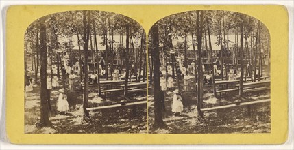 Pic-nic Party, Echo Grove. No. 1; William T. Webster, American, active Lynn, Massachusetts 1870s, 1870s; Albumen silver print
