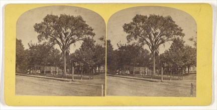View of Lynn, Massachusetts; William T. Webster, American, active Lynn, Massachusetts 1870s, 1870s; Albumen silver print