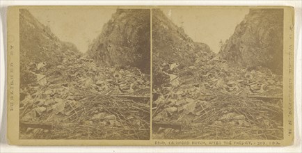 Road, Crawford Notch, After the Freshet; Franklin G. Weller, American, 1833 - 1877, about 1870; Albumen silver print