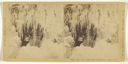Will You Take Something Warming?; Franklin G. Weller, American, 1833 - 1877, 1875; Albumen silver print