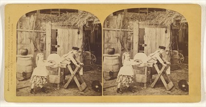 Don't Like His Pants; Franklin G. Weller, American, 1833 - 1877, 1873; Albumen silver print